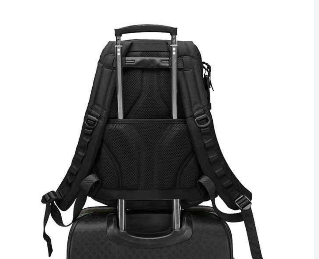 OEM Dynamic Back Pack